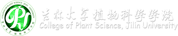 suncitygroup太阳新城